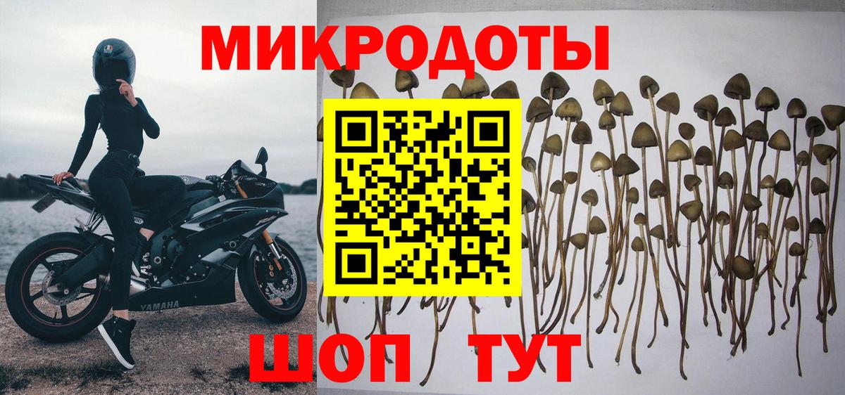 Сургут  Галлюциногенные грибы MAGIC MUSHROOMS  Вход с VPN 